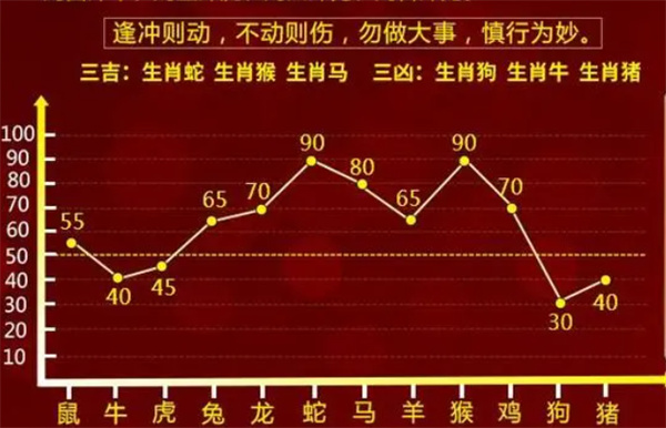 一肖一码一必中一肖，精选解释解析落实