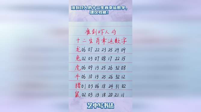 揭秘十二生肖与数字49的奇妙联系，解析与落实精选解释