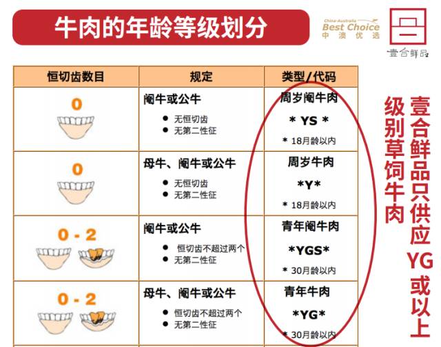 新澳最新最快资料解析，揭秘22码背后的秘密与落实策略