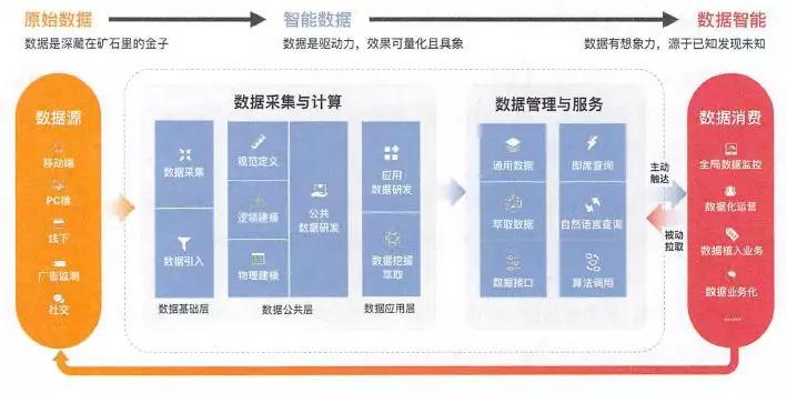 新奥澳彩资料免费提供，精选解释解析落实的重要性