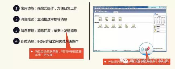 管家婆的资料一肖中特精选解析与落实策略